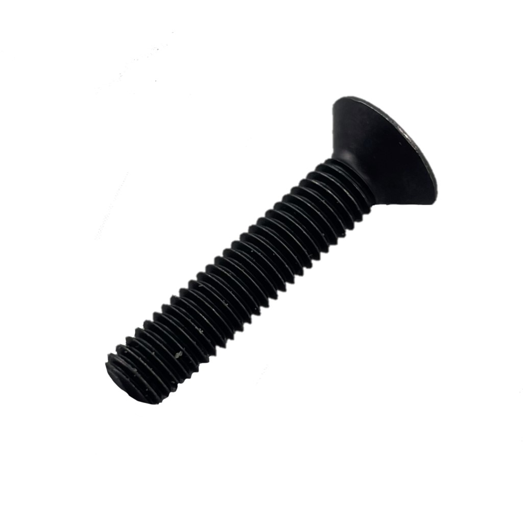 Screw M5 X 25