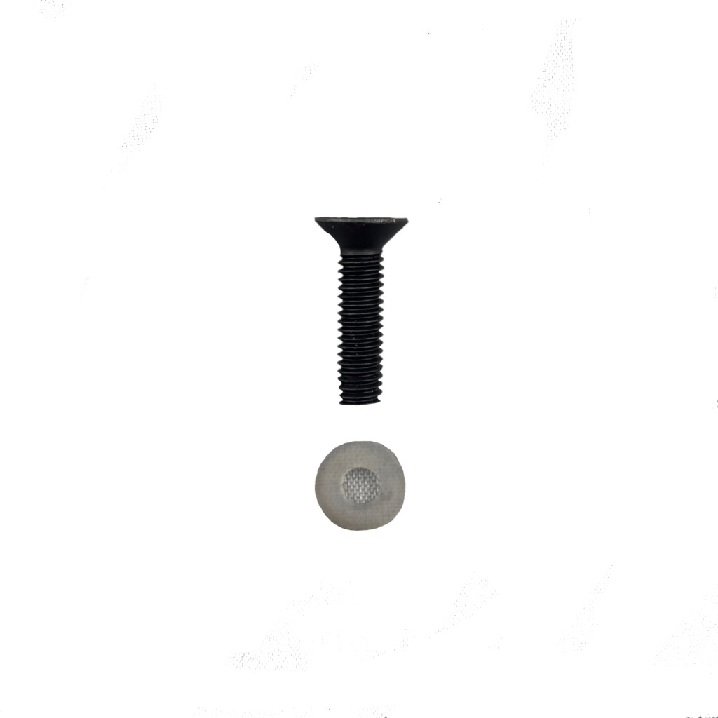 Screw M4 x 16