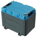 Trolling Motor B12100 Battery