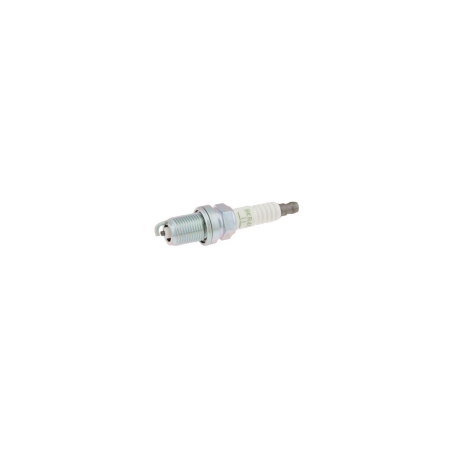 [361230LP] Vr, Sparkplug